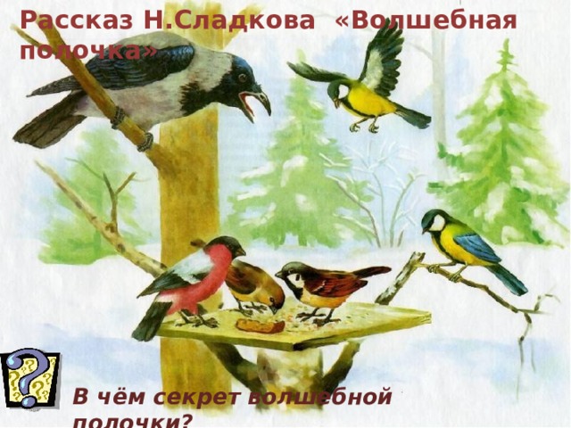 Рассказ Н.Сладкова «Волшебная полочка» В чём секрет волшебной полочки? 