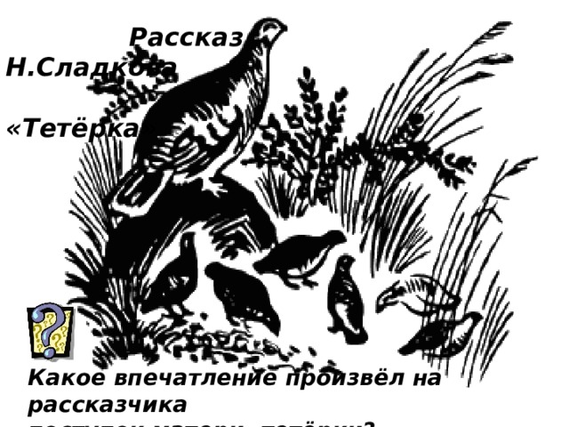  Рассказ Н.Сладкова  «Тетёрка» Какое впечатление произвёл на рассказчика поступок матери- тетёрки? 