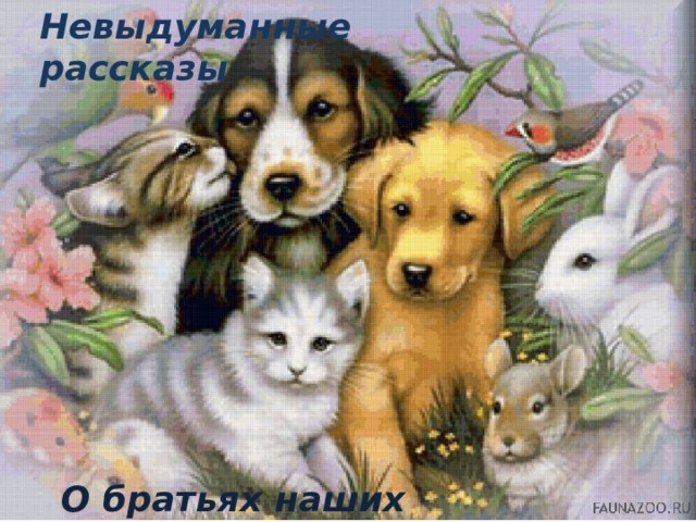 Невыдуманные рассказы О братьях наших меньших 