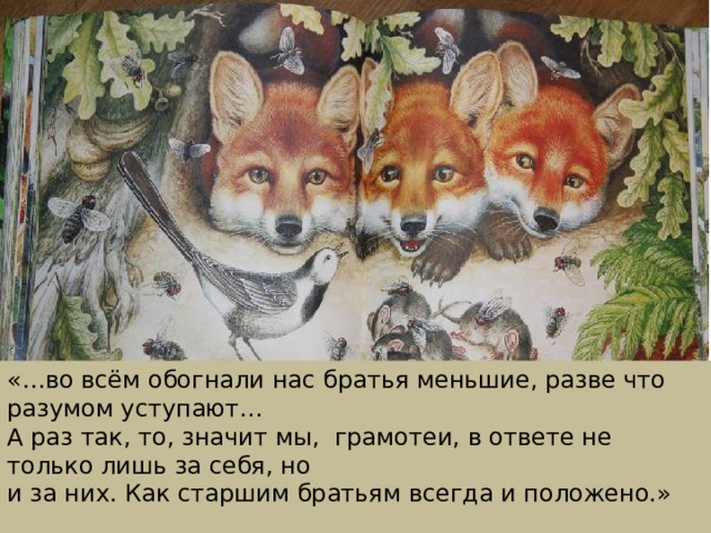 «…во всём обогнали нас братья меньшие, разве что разумом уступают… А раз так, то, значит мы, грамотеи, в ответе не только лишь за себя, но и за них. Как старшим братьям всегда и положено.»  Н.Сладков. 
