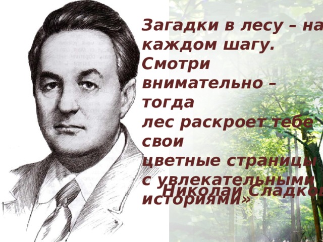 Загадки в лесу – на каждом шагу. Смотри внимательно – тогда лес раскроет тебе свои цветные страницы с увлекательными историями»  Николай Сладков  