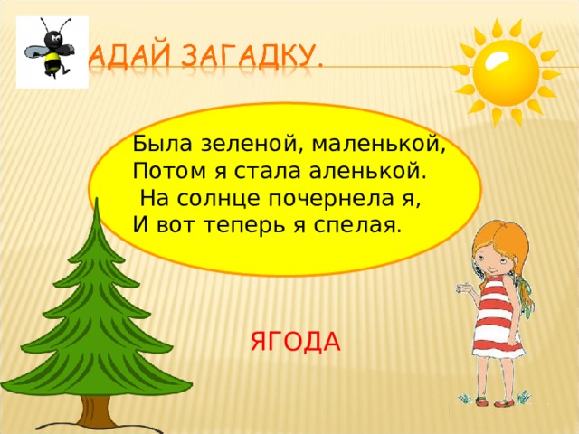 Была зеленой, маленькой, Потом я стала аленькой.  На солнце почернела я, И вот теперь я спелая. ЯГОДА 