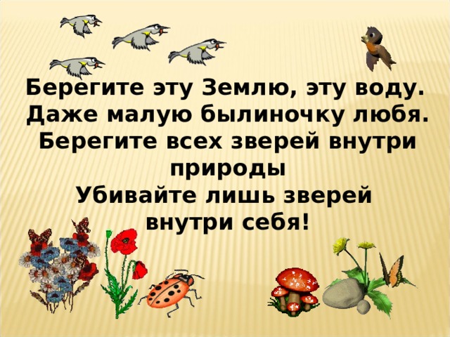  Берегите эту Землю, эту воду. Даже малую былиночку любя. Берегите всех зверей внутри природы Убивайте лишь зверей внутри себя!  