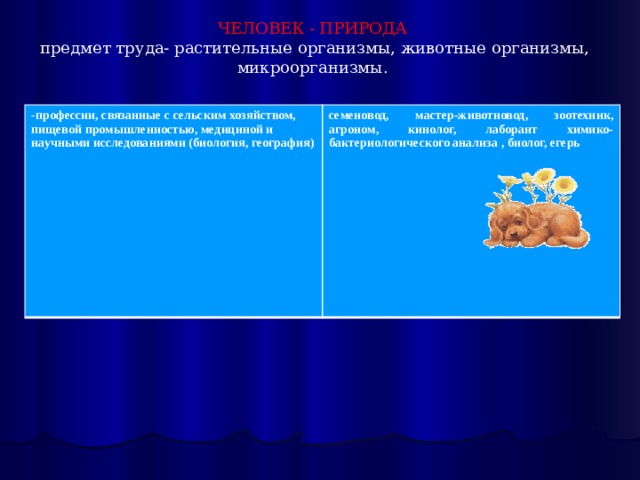 ЧЕЛОВЕК - ПРИРОДА  предмет труда- растительные организмы, животные организмы, микроорганизмы. - профессии, связанные с сельским хозяйством, пищевой промышленностью, медициной и научными исследованиями (биология, география)  семеновод, мастер-животновод, зоотехник, агроном, кинолог, лаборант химико-бактериологического анализа , биолог, егерь 