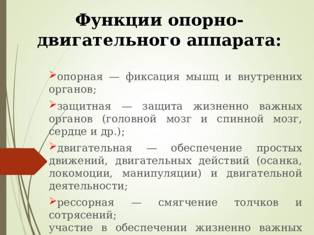 Функции опорно-двигательного аппарата: опорная — фиксация мышц и внутренних органов; защитная — защита жизненно важных органов (головной мозг и спинной мозг, сердце и др.); двигательная — обеспечение простых движений, двигательных действий (осанка, локомоции, манипуляции) и двигательной деятельности; рессорная — смягчение толчков и сотрясений;  участие в обеспечении жизненно важных процессов, такие как минеральный обмен, кровообращение, кроветворение и другие. 