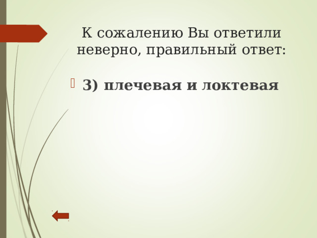 К сожалению Вы ответили неверно, правильный ответ:   3) плечевая и локтевая  