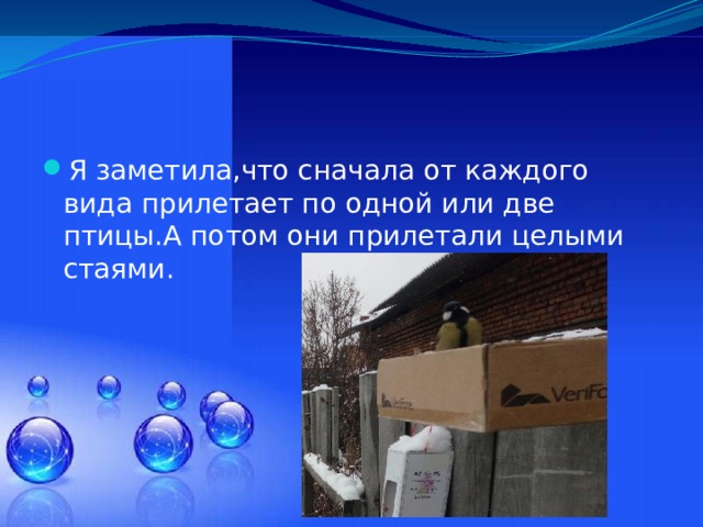 Я заметила,что сначала от каждого вида прилетает по одной или две птицы.А потом они прилетали целыми стаями. 