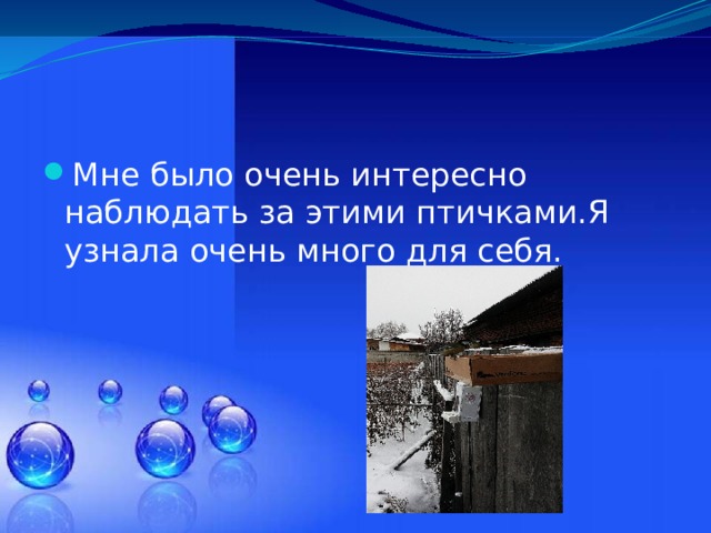Мне было очень интересно наблюдать за этими птичками.Я узнала очень много для себя. 