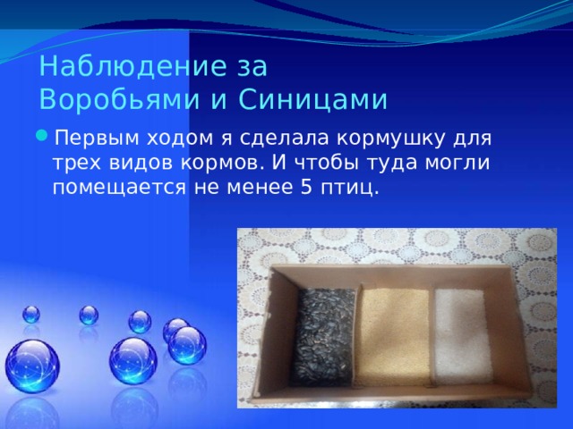 Наблюдение за  Воробьями и Синицами Первым ходом я сделала кормушку для трех видов кормов. И чтобы туда могли помещается не менее 5 птиц. 