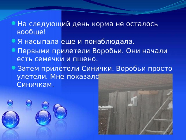 На следующий день корма не осталось вообще! Я насыпала еще и понаблюдала. Первыми прилетели Воробьи. Они начали есть семечки и пшено. Затем прилетели Синички. Воробьи просто улетели. Мне показалось они уступили Синичкам . 