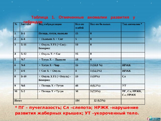 Таблица 1. Отмеченные аномалии развития у гибридов * ПГ – пучеглазость; Сл –слепота; НРЖК –нарушение развития жаберных крышек; УТ –укороченный тело.  