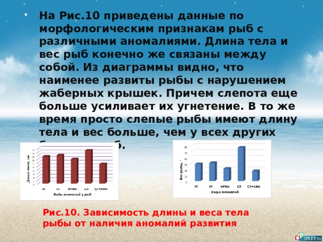 На Рис.10 приведены данные по морфологическим признакам рыб с различными аномалиями. Длина тела и вес рыб конечно же связаны между собой. Из диаграммы видно, что наименее развиты рыбы с нарушением жаберных крышек. Причем слепота еще больше усиливает их угнетение. В то же время просто слепые рыбы имеют длину тела и вес больше, чем у всех других больных рыб. Рис.10. Зависимость длины и веса тела рыбы от наличия аномалий развития 