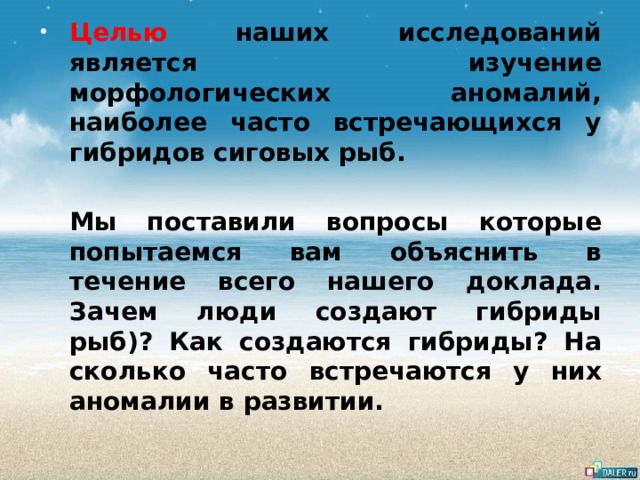 Целью  наших исследований является изучение морфологических аномалий, наиболее часто встречающихся у гибридов сиговых рыб.  Мы поставили вопросы которые попытаемся вам объяснить в течение всего нашего доклада. Зачем люди создают гибриды рыб)? Как создаются гибриды? На сколько часто встречаются у них аномалии в развитии. 