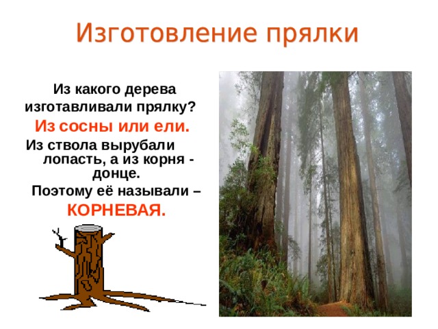 Из какого дерева изготавливали прялку?  Из  сосны или ели.   Из ствола вырубали лопасть, а из корня - донце.  Поэтому её называли –  КОРНЕВАЯ.