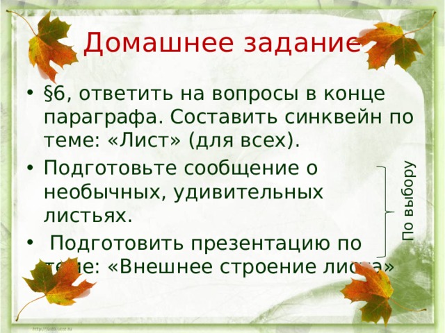 По выбору Домашнее задание §6, ответить на вопросы в конце параграфа. Составить синквейн по теме: «Лист» (для всех). Подготовьте сообщение о необычных, удивительных листьях.  Подготовить презентацию по теме: «Внешнее строение листа» 