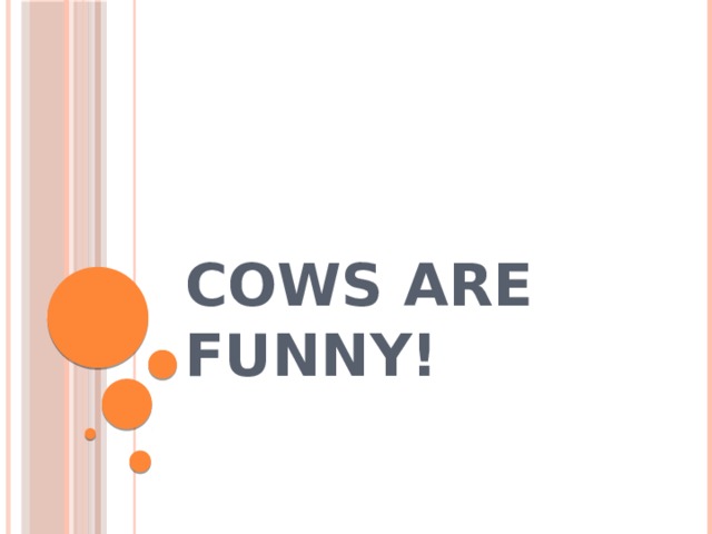 Cows are funny! 