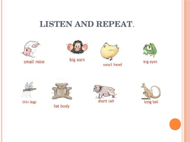 Listen and repeat . 