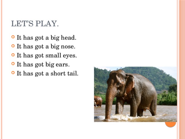 Let’s play. It has got a big head. It has got a big nose. It has got small eyes. It has got big ears. It has got a short tail. 