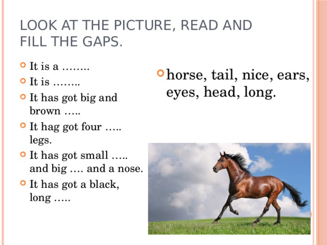 Look at the picture, read and fill the gaps. horse, tail, nice, ears, eyes, head, long. It is a …….. It is …….. It has got big and brown ….. It hag got four ….. legs. It has got small ….. and big …. and a nose. It has got a black, long ….. 