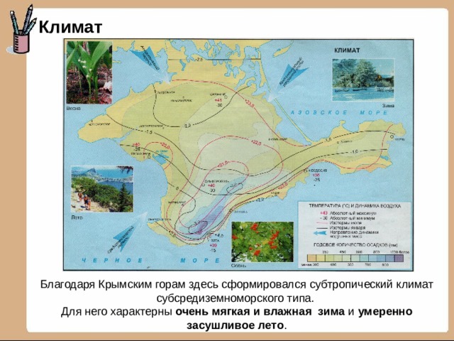Климат Благодаря Крымским горам здесь сформировался субтропический климат субсредиземноморского типа.  Для него характерны очень мягкая и влажная  зима и умеренно  засушливое  лето . 