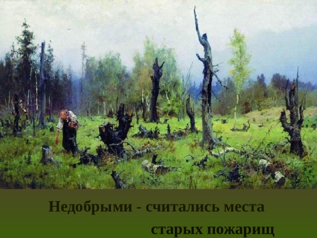 Недобрыми - считались места старых пожарищ 