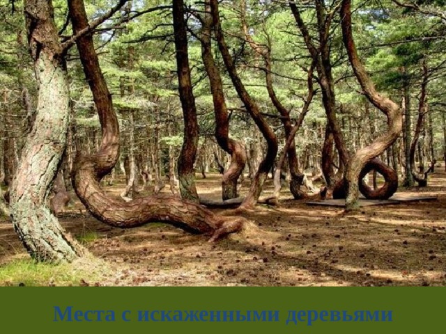 Места с искаженными деревьями 