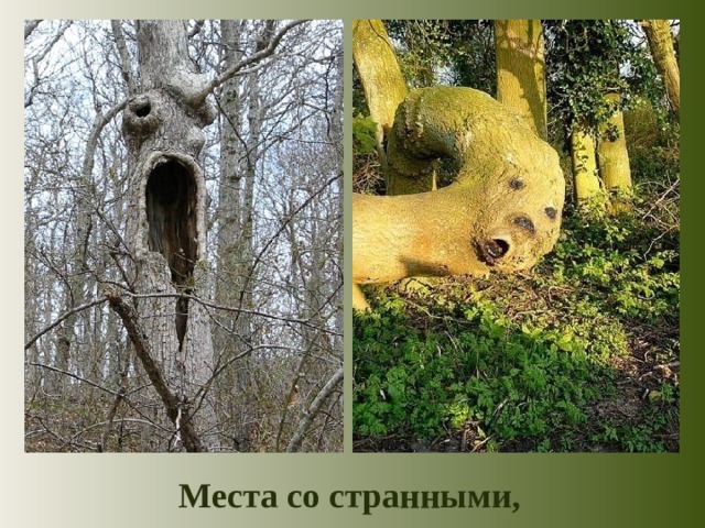 Места со странными, 