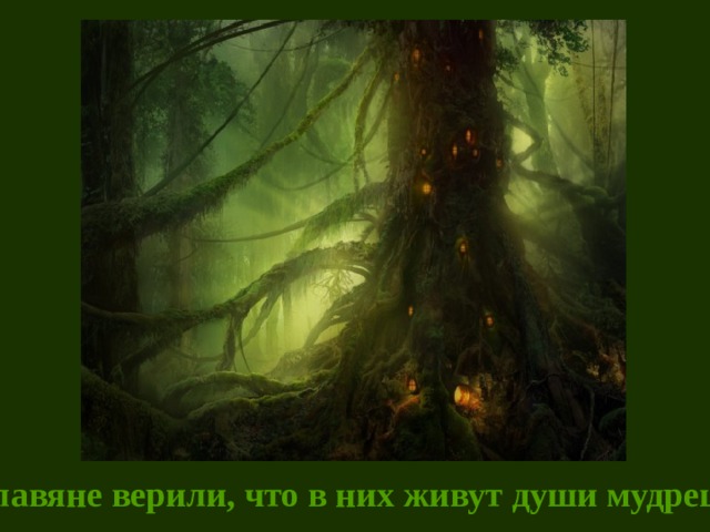 Славяне верили, что в них живут души мудрецов 