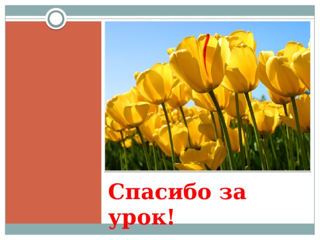 Спасибо за урок!   