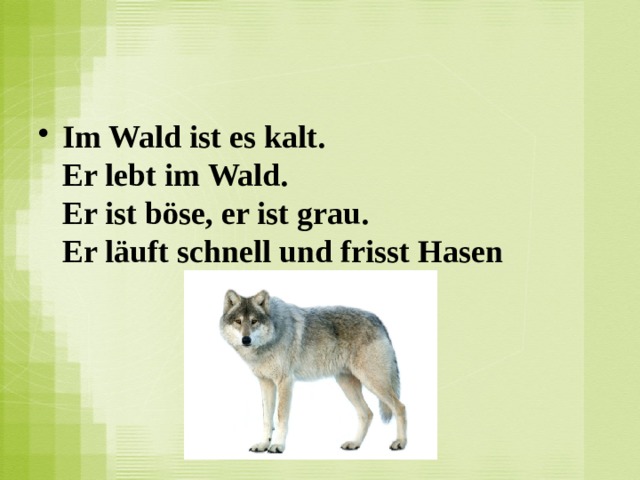 Im Wald ist es kalt.  Er lebt im Wald.  Er ist böse, er ist grau.  Er läuft schnell und frisst Hasen   