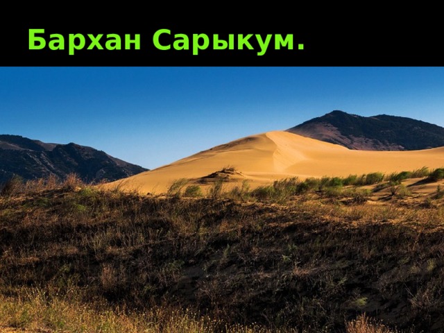 Бархан Сарыкум. 