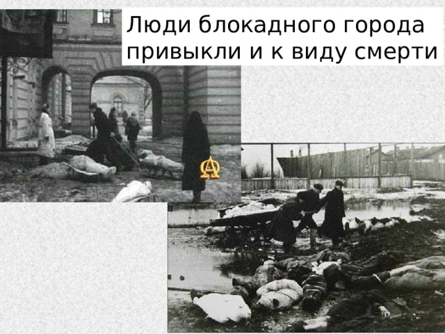 Люди блокадного города привыкли и к виду смерти 