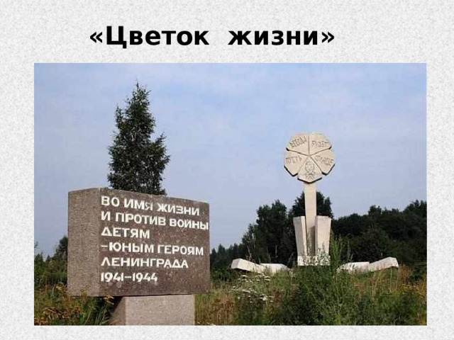 «Цветок жизни» 