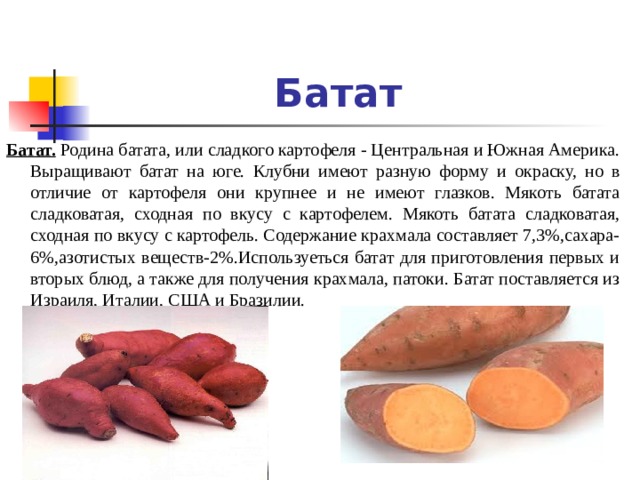  Батат Батат.  Родина батата, или сладкого картофеля - Центральная и Южная Америка. Выращивают батат на юге. Клубни имеют разную форму и окраску, но в отличие от картофеля они крупнее и не имеют глазков. Мякоть батата сладковатая, сходная по вкусу с картофелем. Мякоть батата сладковатая, сходная по вкусу с картофель. Содержание крахмала составляет 7,3%,сахара-6%,азотистых веществ-2%.Используеться батат для приготовления первых и вторых блюд, а также для получения крахмала, патоки. Батат поставляется из Израиля, Италии, США и Бразилии. 