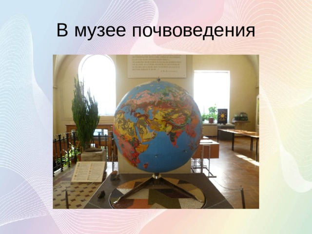 В музее почвоведения 