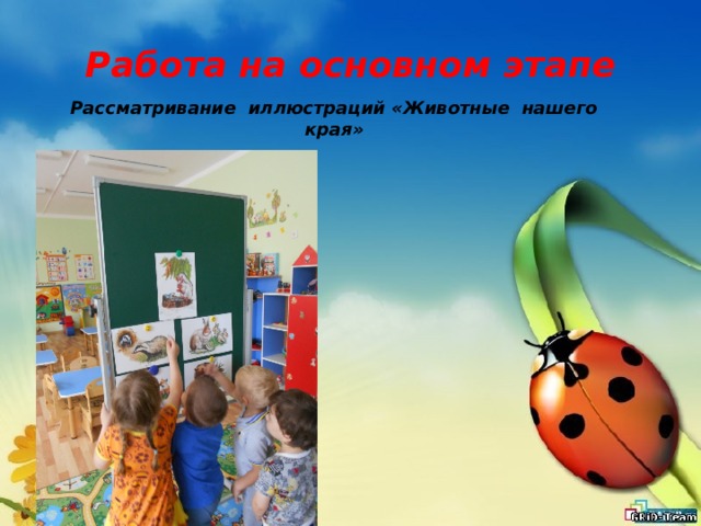 Работа на основном этапе Рассматривание иллюстраций «Животные нашего края» 