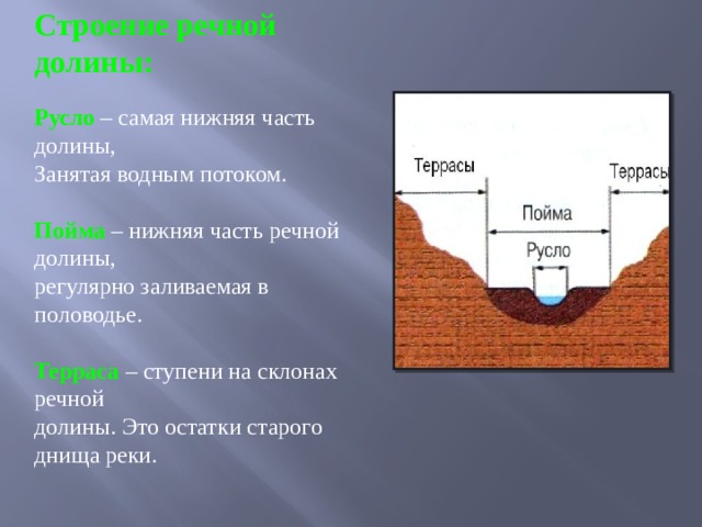 Строение речной долины: Русло – самая нижняя часть долины, Занятая водным потоком. Пойма – нижняя часть речной долины, регулярно заливаемая в половодье. Терраса – ступени на склонах речной долины. Это остатки старого днища реки. 