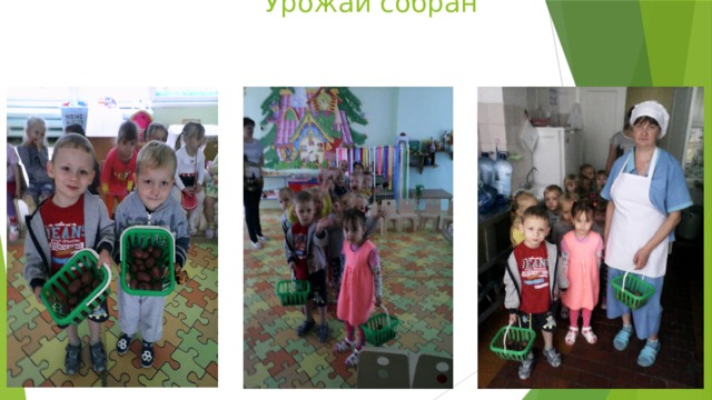  Урожай собран 