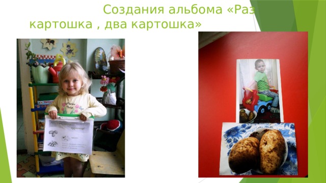  Создания альбома «Раз картошка , два картошка» 