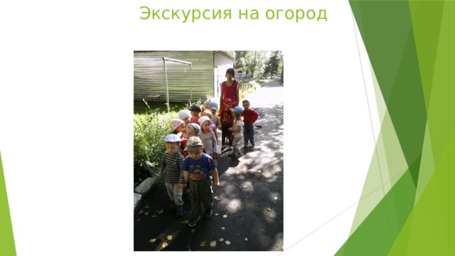 Экскурсия на огород 