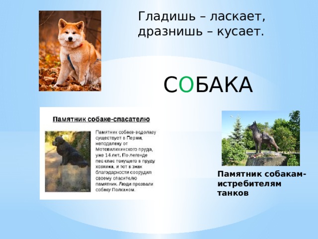 Гладишь – ласкает, дразнишь – кусает. С О БАКА Памятник собакам-истребителям танков