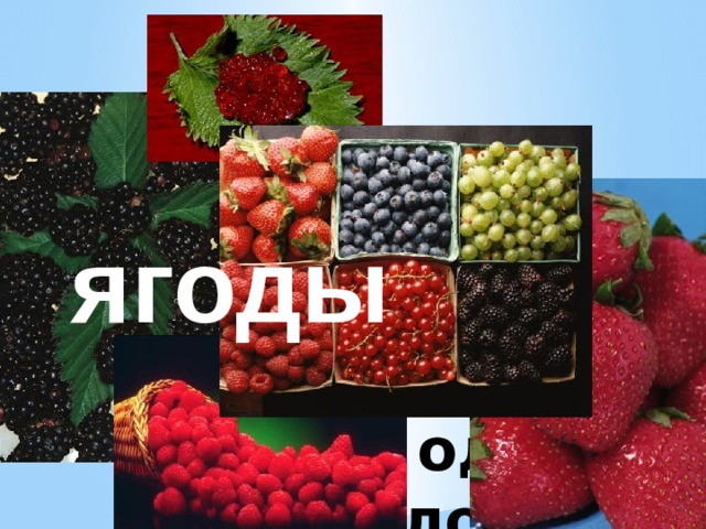 ягоды