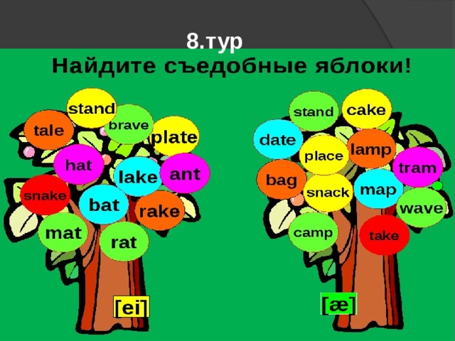 8.тур 