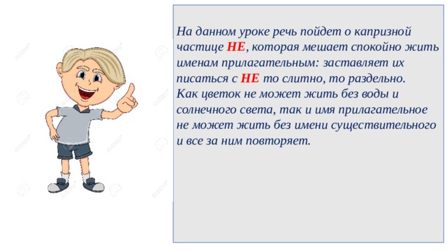  На данном уроке речь пойдет о капризной частице НЕ , которая мешает спокойно жить именам прилагательным: заставляет их писаться с НЕ то слитно, то раздельно. Как цветок не может жить без воды и солнечного света, так и имя прилагательное не может жить без имени существительного и все за ним повторяет.       