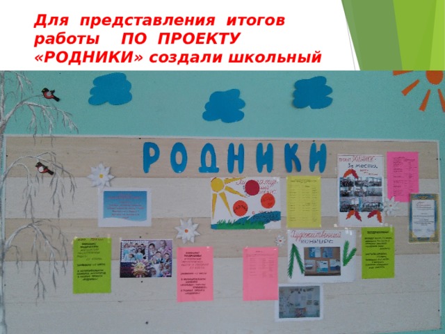 Для представления итогов работы ПО ПРОЕКТУ «РОДНИКИ» создали школьный стенд: 