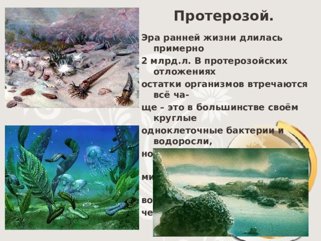 Протерозой. Эра ранней жизни длилась примерно 2 млрд.л. В протерозойских отложениях остатки организмов втречаются всё ча- ще – это в большинстве своём круглые одноклеточные бактерии и водоросли, но среди них уже существовали и при- митивные многоклеточные организмы: водоросли, кишечнополостные, черви и др. 