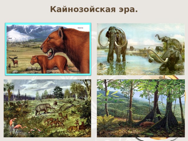 Кайнозойская эра. 