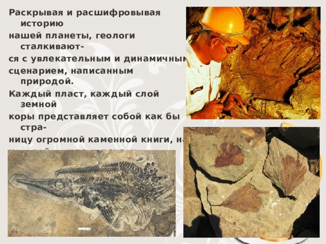 Раскрывая и расшифровывая историю нашей планеты, геологи сталкивают- ся с увлекательным и динамичным сценарием, написанным природой. Каждый пласт, каждый слой земной коры представляет собой как бы стра- ницу огромной каменной книги, на которой в виде отпечатков растений и остатков животных записаны собы- тия, происходившие на Земле многие сотни миллионов лет назад. 