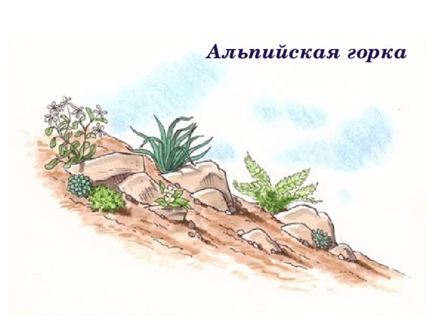 Альпийская горка 