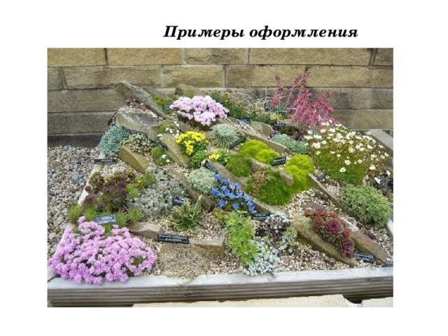 Примеры оформления 